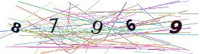 Access Code (numeric)